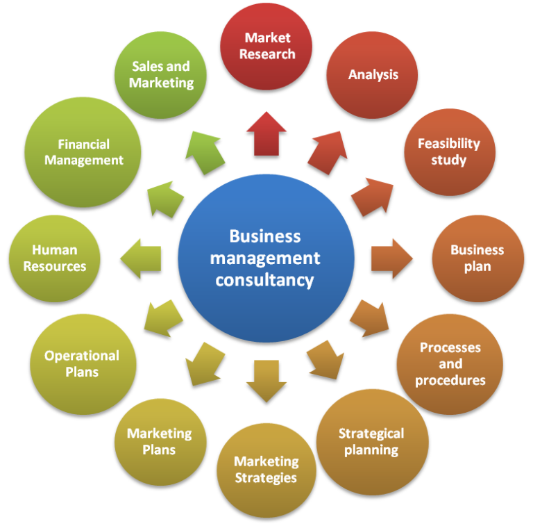 ﻿why The Need Of Management Consultancies Wisdom Springs Training 